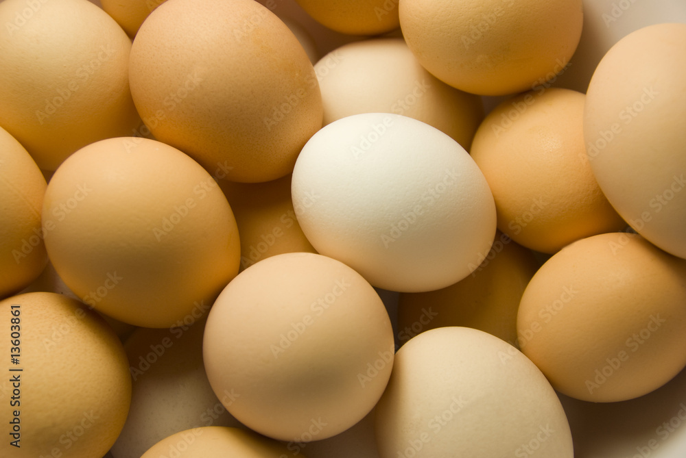 eggs eggs