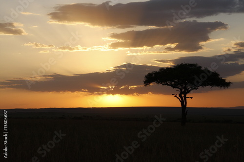 African Sunset
