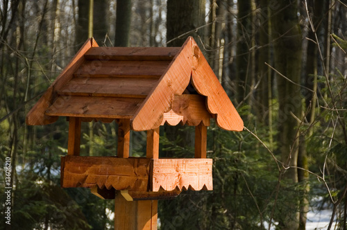 bird house in the forest