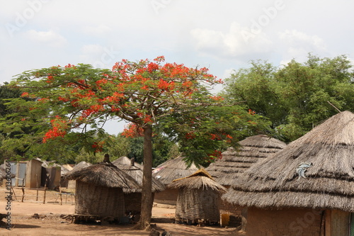 African mud huts with tree