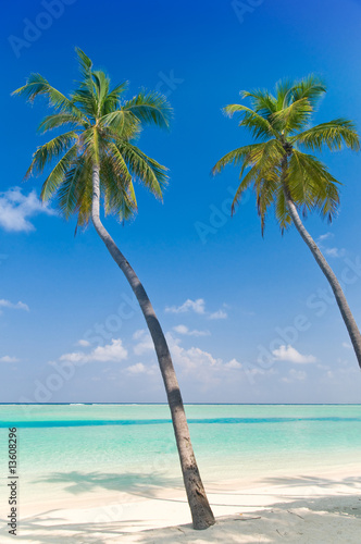 Tropischer Strand mit Palmen
