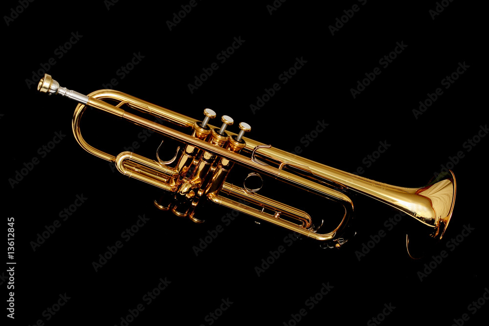 Obraz premium gold trumpet in night