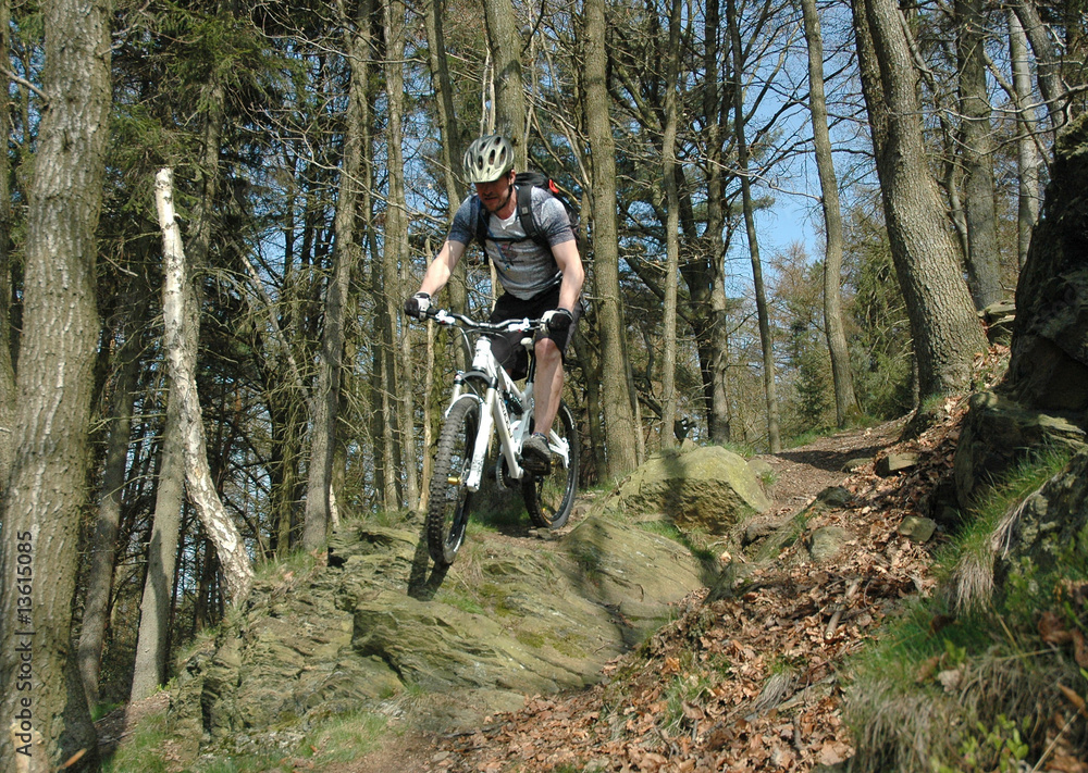 Fototapeta premium Sprung