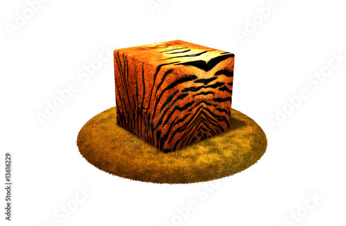 Fototapeta Naklejka Na Ścianę i Meble -  Tigre