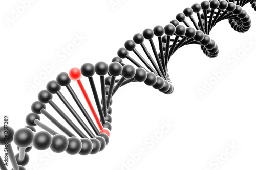 Red nucleotide from a DNA photo
