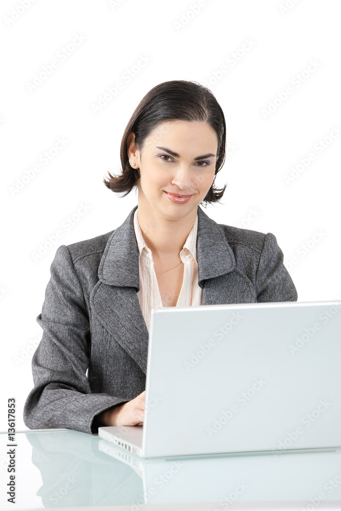 Businesswoman using laptop Businesswoman using laptop