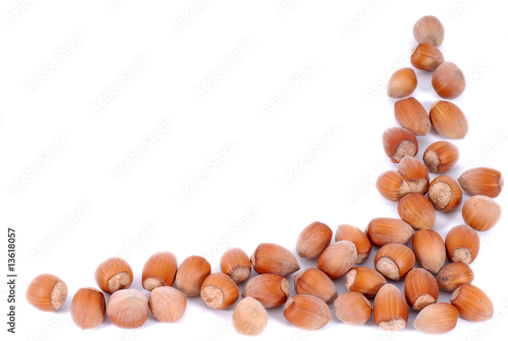 orzechy laskowe, hazel-nuts