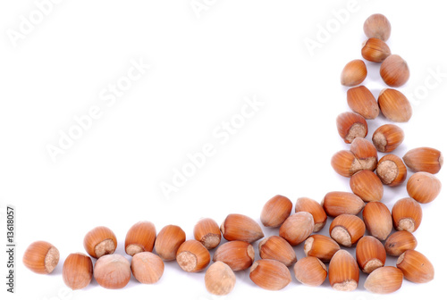 Obraz na płótnie orzechy laskowe, hazel-nuts w salonie
