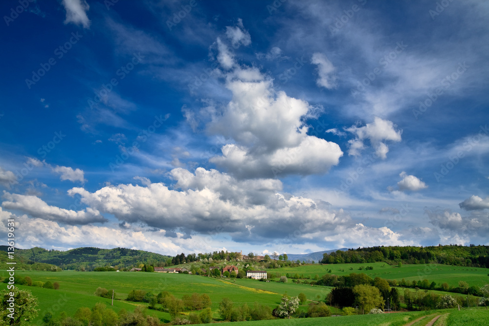 Spring landscape - green fields, the blue sky Spring landscape - green fields, the blue sky