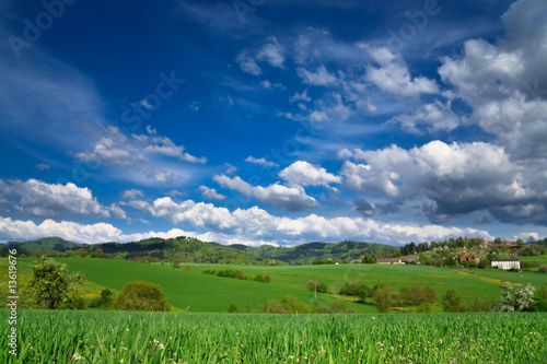 Spring landscape - green fields  the blue sky