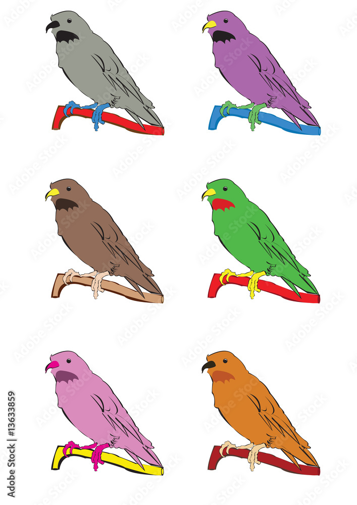 Fototapeta premium Colorful canaries