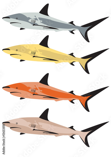 Colorful sharks