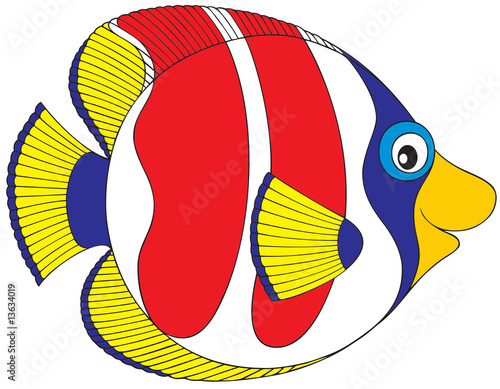 Coral fish