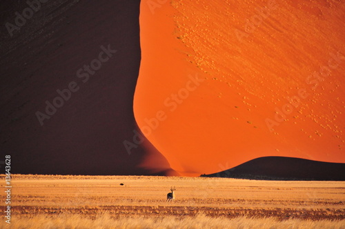 Dunes du namib photo