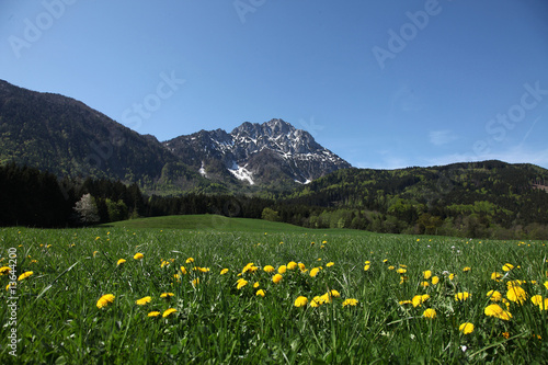 Alpen