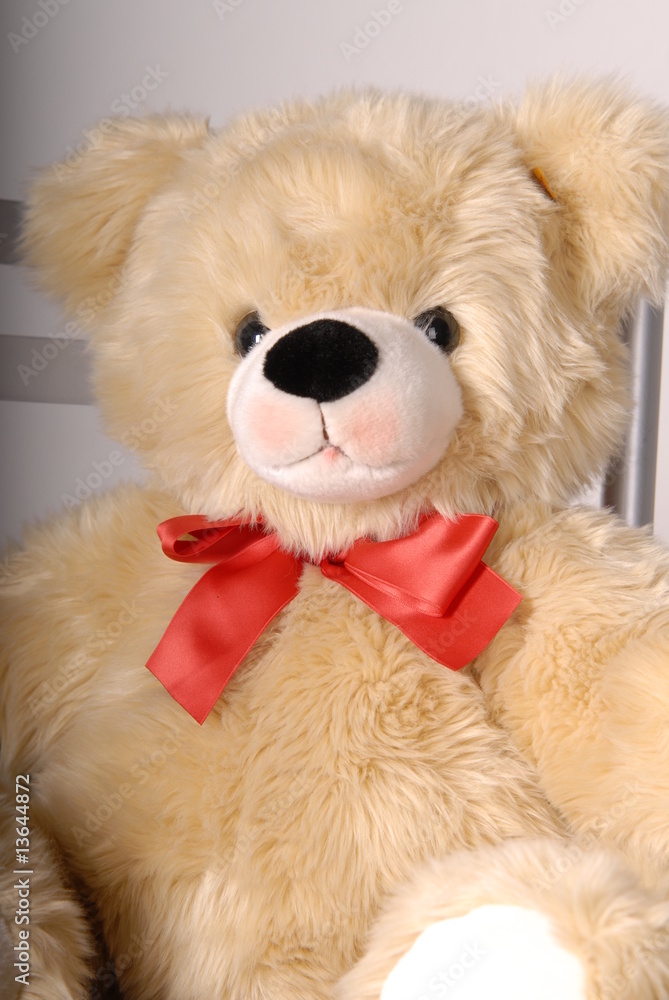 Teddy Teddy