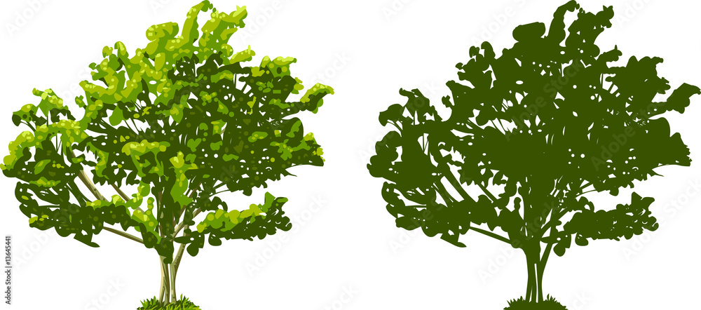 Obraz premium Tree and Silhouette