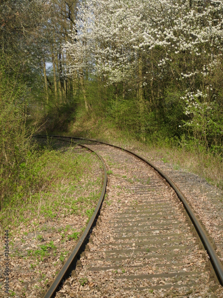 Obraz premium Der eiserne Weg