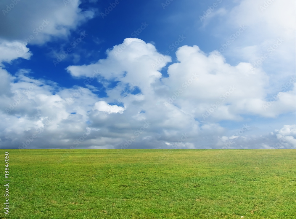 grass meadow grass meadow