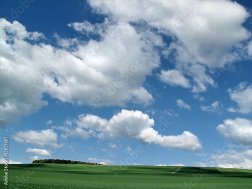 Ciel bleu et blanc au dessus des champs.