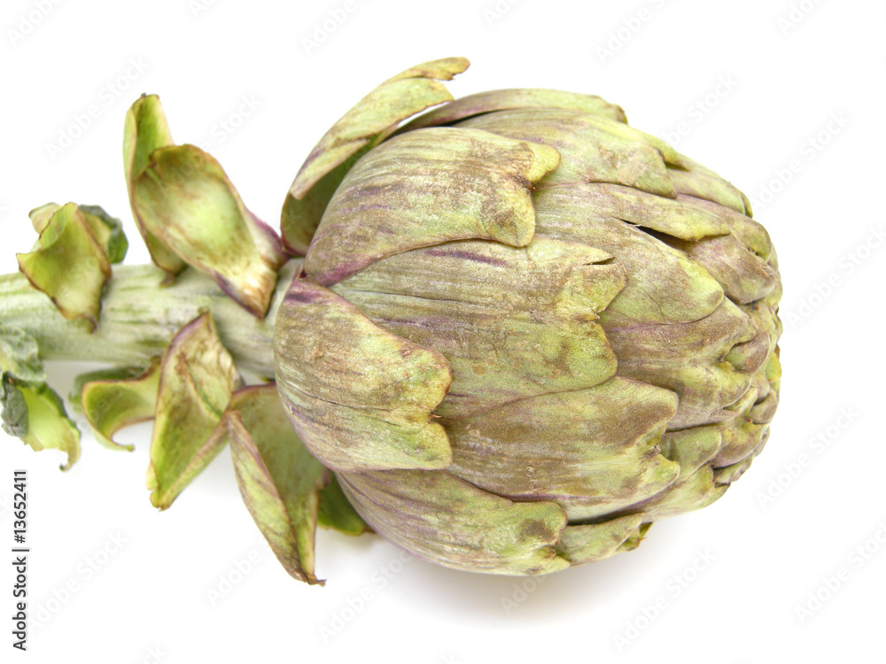 Obraz premium Artischocke