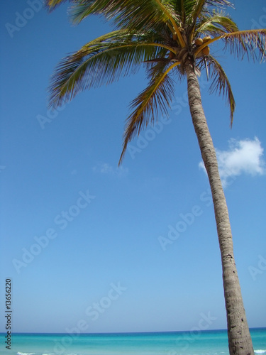 tropical beach scenery