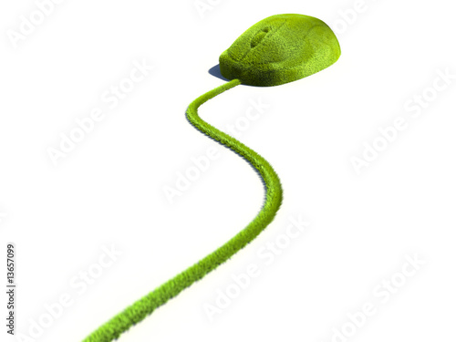 Green Technology
