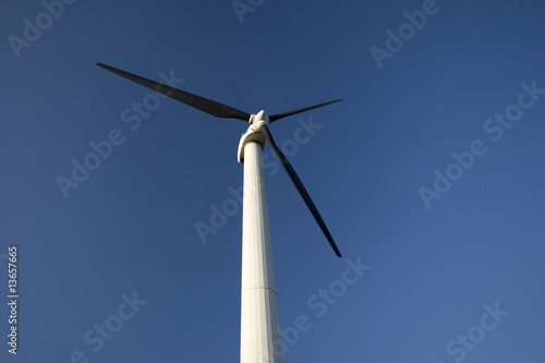 Power generating windmills © gpalmer