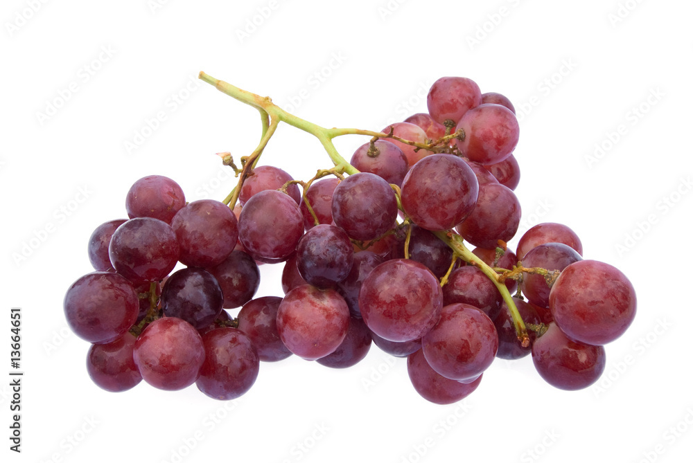 Grape cluster Grape cluster