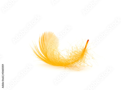 Feather