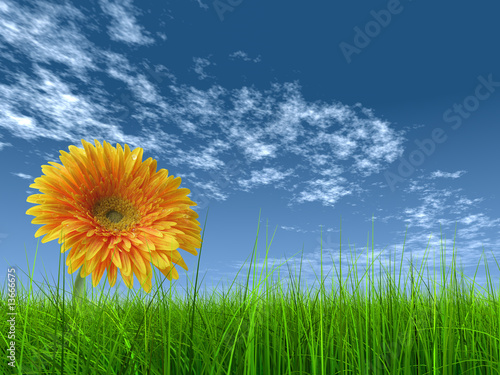 high resolution 3d green grass  with flower