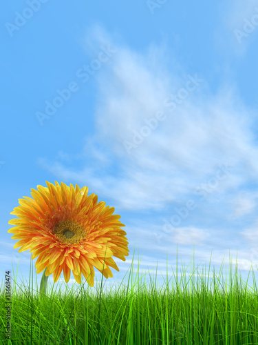 3D grass over a blue sky with a natural orange flower vertical