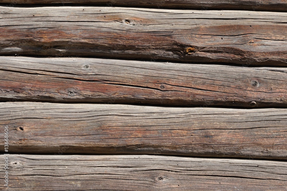 Fototapeta premium Wooden barks