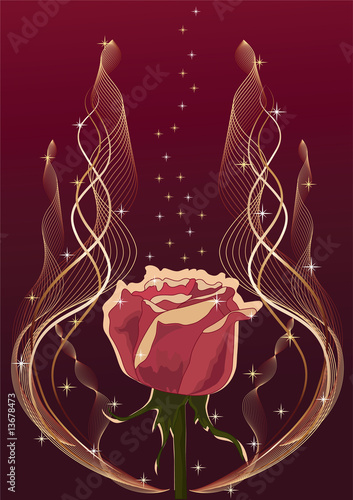 Abstract  background with rose.