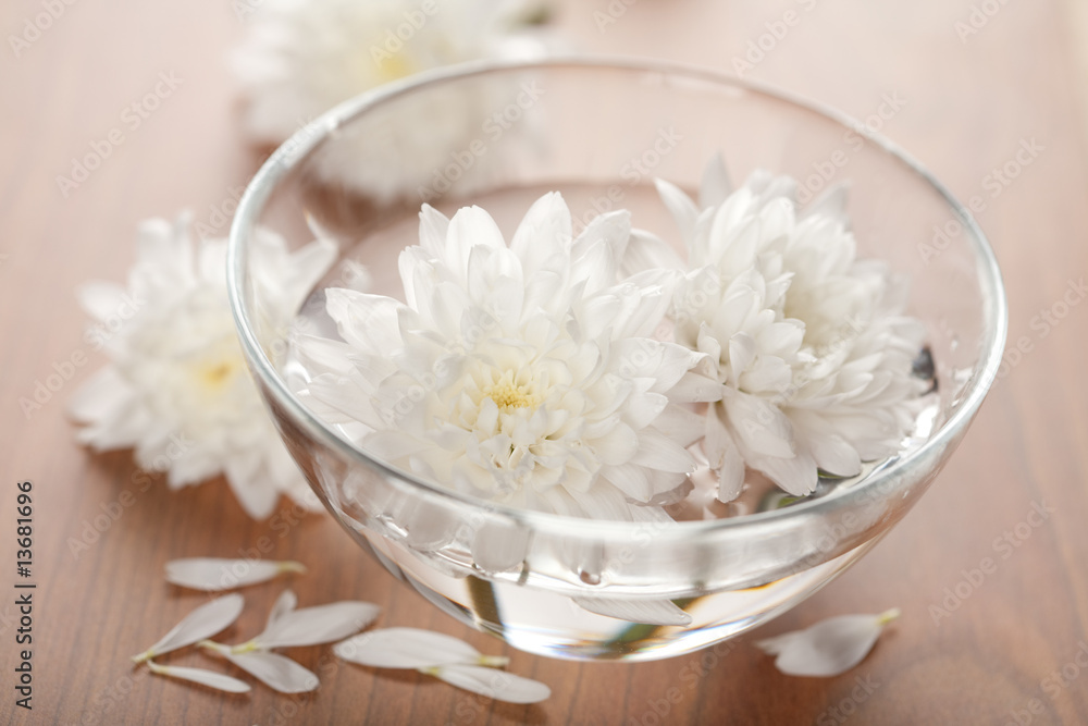 white flowers floating in bowl. spa background white flowers floating in bowl. spa background