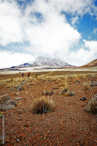 Kilimanjaro Wüste