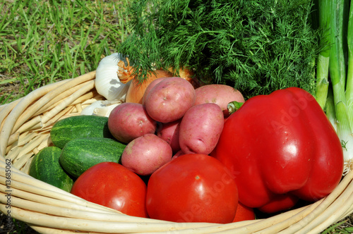 Basket filled with vegetables outdoors in sunlight