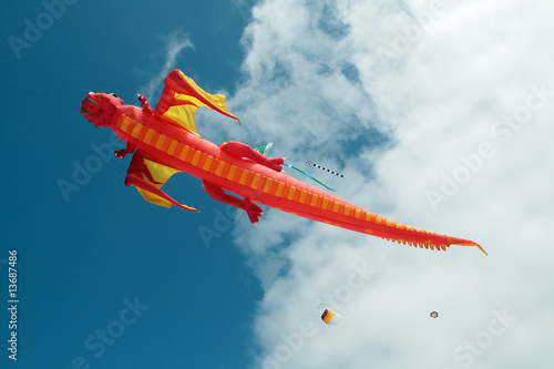 Tableau sur toile Cerfs volants