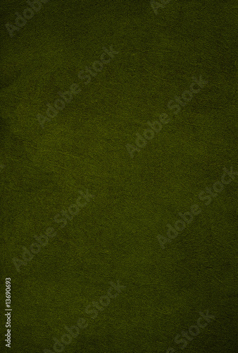 Green leather