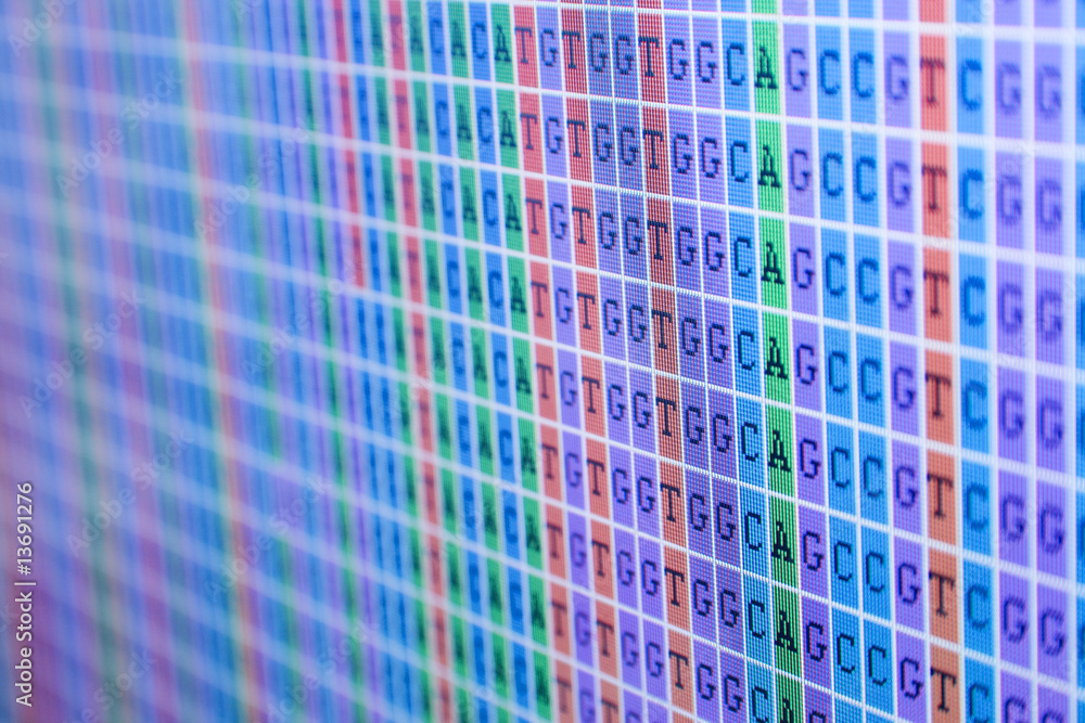 DNA Bases Alignment DNA Bases Alignment