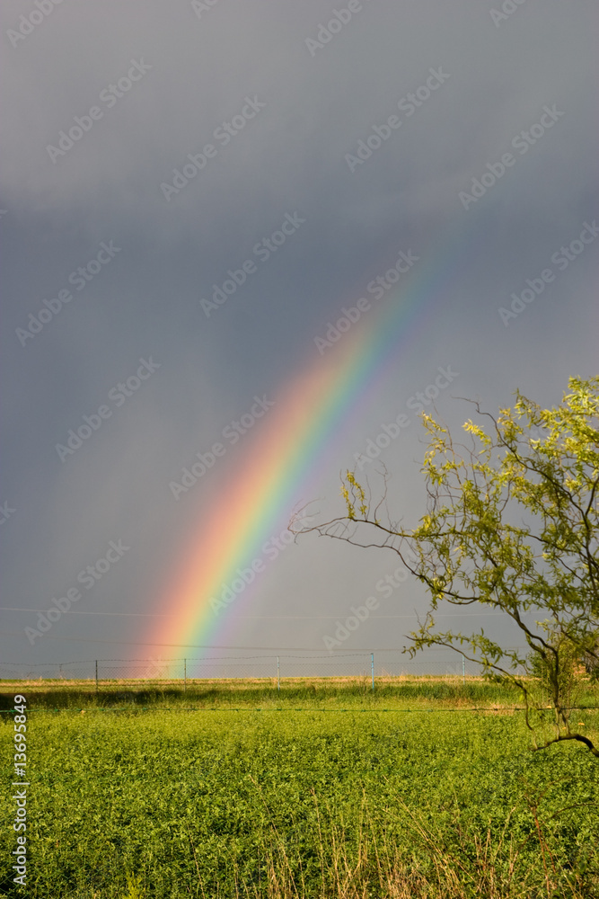 Rainbow over green Fields