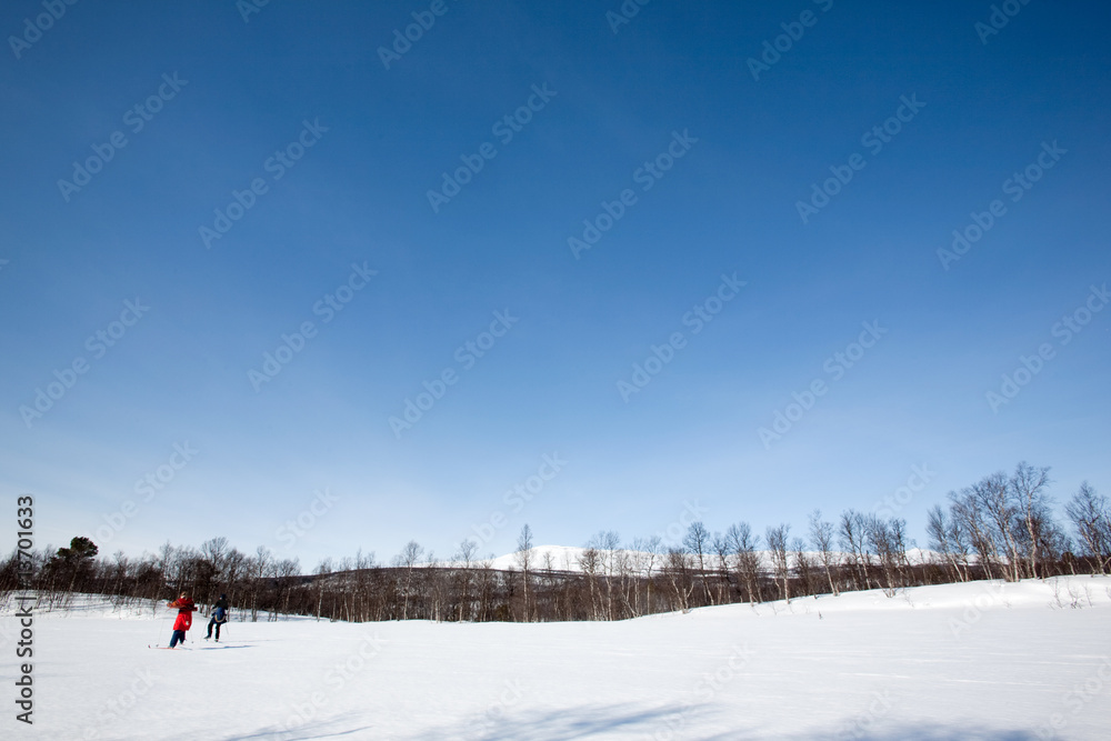 Winter Landscape with Skiiers