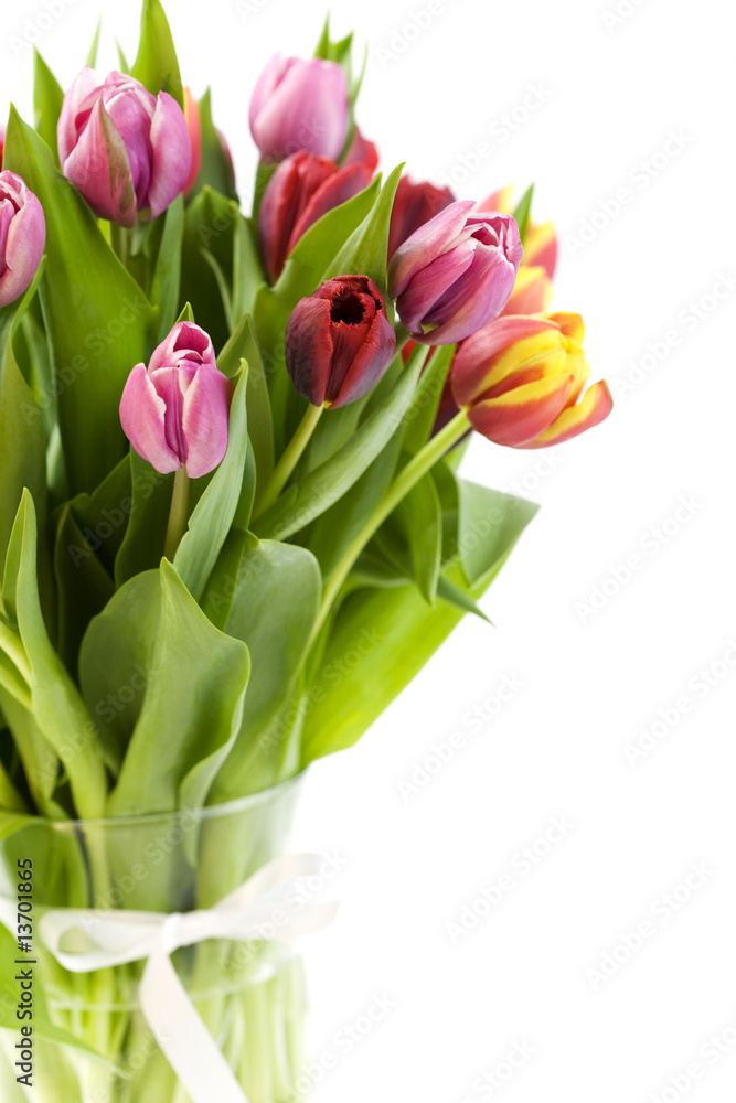 Obraz premium tulips