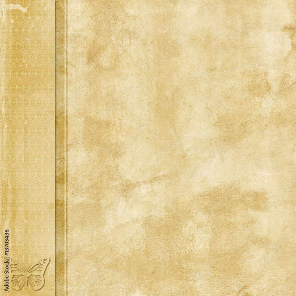 Naklejka premium Natural old paper with left side border and butterfly