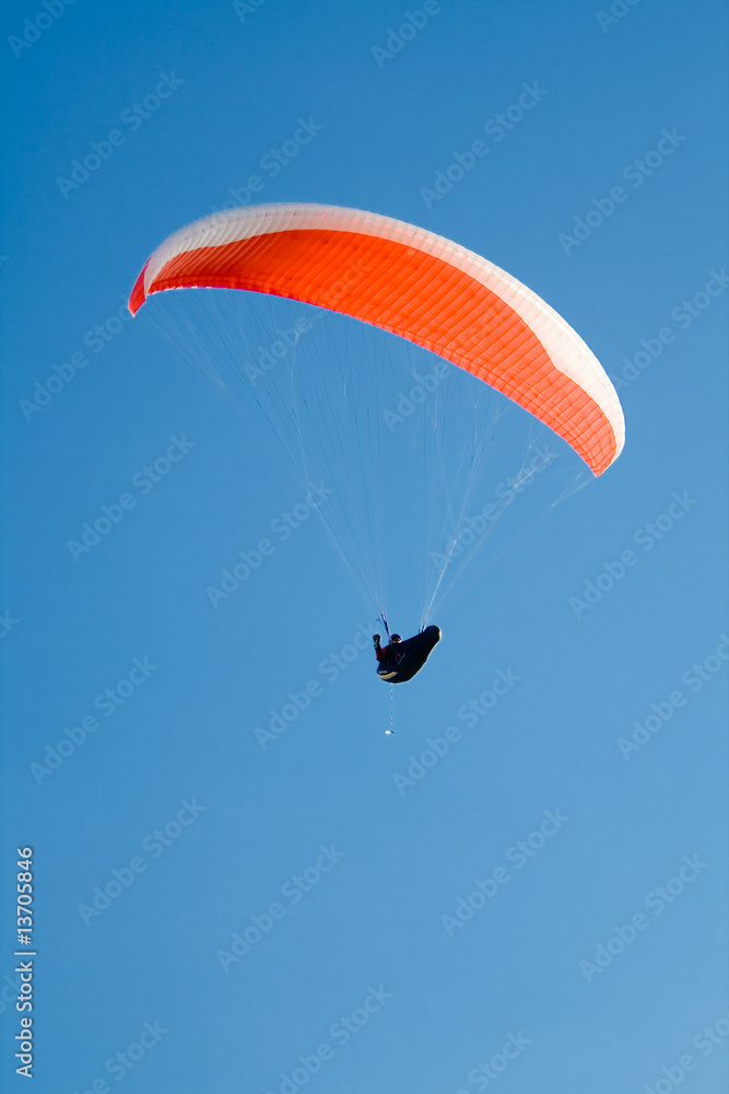 Paraglider