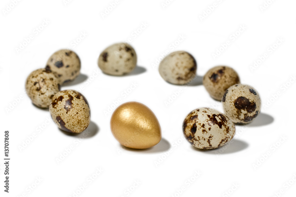 gold egg in a circle of bird eggs on white