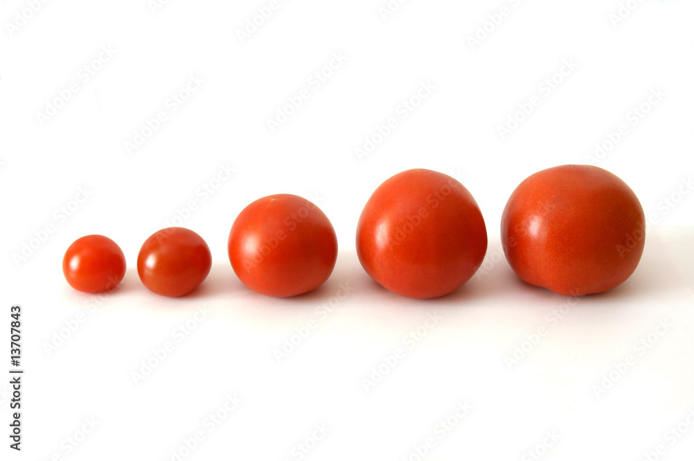 Tomaten stillgestanden Tomaten stillgestanden