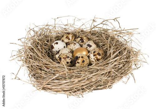 gold egg in a group of bird eggs in nest on white © Jimmy Lu