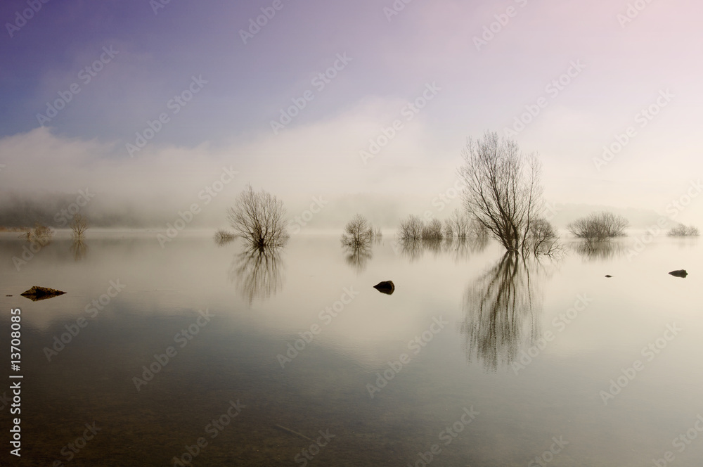 Obraz premium Trees and lake with reflections