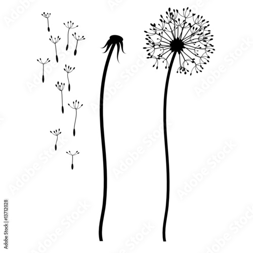 Bastelset Busteblume